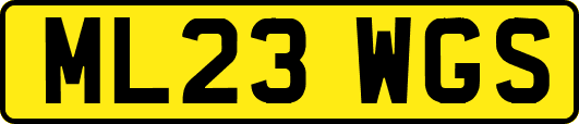 ML23WGS
