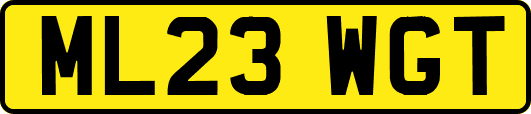 ML23WGT