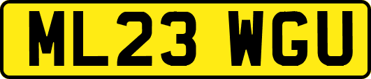 ML23WGU