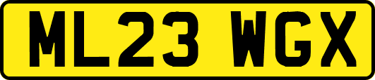 ML23WGX