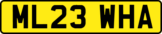 ML23WHA