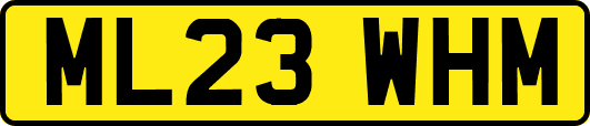 ML23WHM
