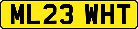 ML23WHT