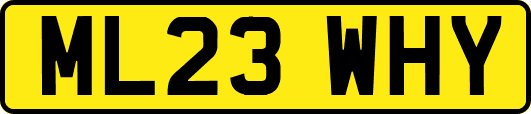 ML23WHY