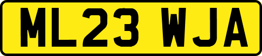 ML23WJA