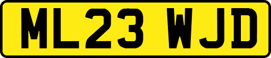 ML23WJD