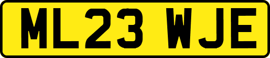 ML23WJE