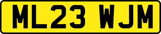 ML23WJM