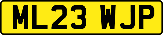 ML23WJP