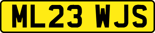 ML23WJS