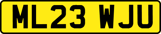 ML23WJU