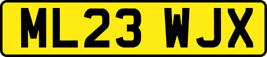 ML23WJX