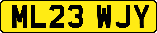 ML23WJY