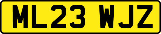 ML23WJZ
