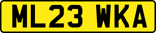 ML23WKA
