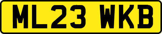 ML23WKB