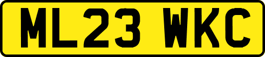 ML23WKC