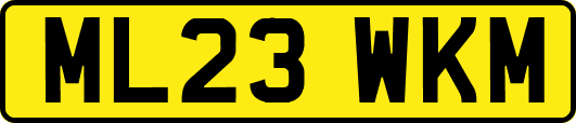ML23WKM