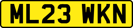 ML23WKN