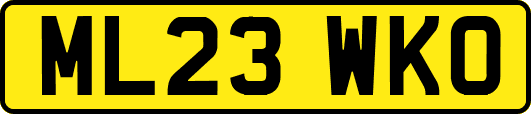 ML23WKO