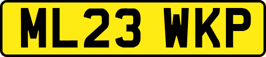 ML23WKP