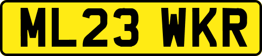 ML23WKR