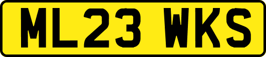 ML23WKS