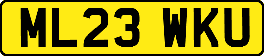 ML23WKU
