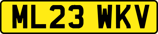 ML23WKV