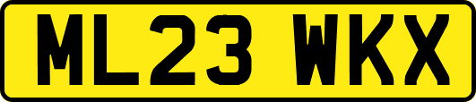 ML23WKX