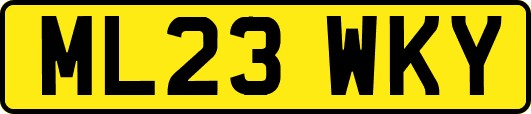 ML23WKY