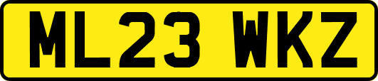 ML23WKZ