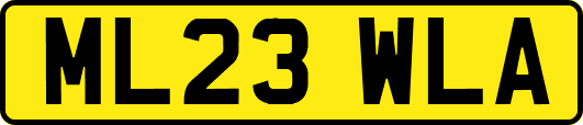 ML23WLA