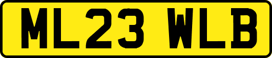 ML23WLB