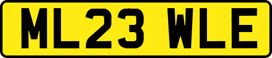 ML23WLE