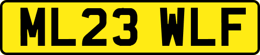 ML23WLF