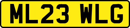 ML23WLG