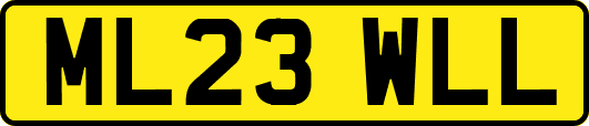 ML23WLL