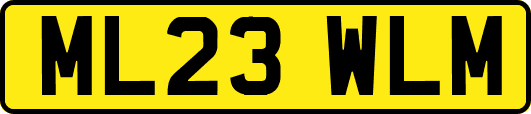 ML23WLM