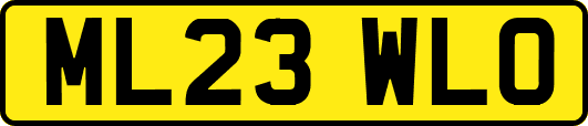 ML23WLO
