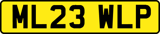 ML23WLP