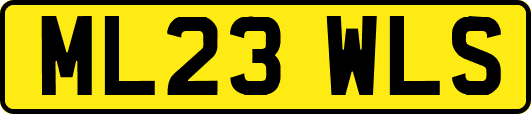 ML23WLS
