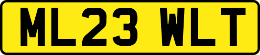 ML23WLT