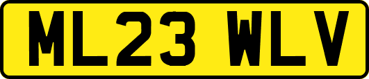 ML23WLV