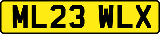 ML23WLX