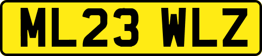 ML23WLZ