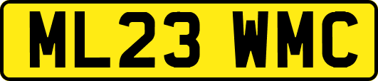 ML23WMC