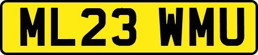 ML23WMU