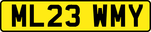 ML23WMY