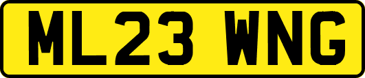ML23WNG